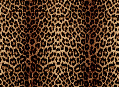 leopard pattern seamless fashionable design for print clothes, paper, fabric. leopard spots