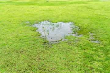 Grass died becauseYard Drainage Problems and Waterlogged lawns.
