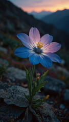 Luminous flower in mountains during the day on vertical background 24.