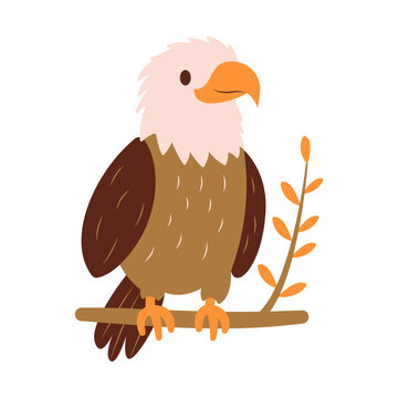 Cute Bald Eagle Hawk Falcon Bird Animal Perched on Tree Twig in the Jungle