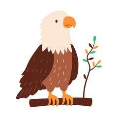 Cute Bald Eagle Hawk Falcon Bird Animal Perched on Tree Twig in the Jungle