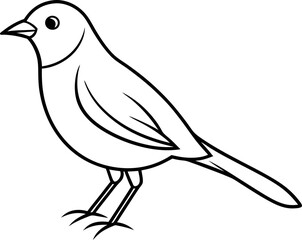 illustration of a bird