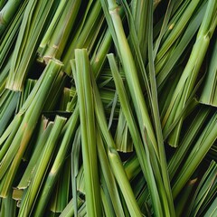 Fototapeta premium Lemongrass texture background, cymbopogon pattern, barbed wire grass banner, silky heads or oily heads