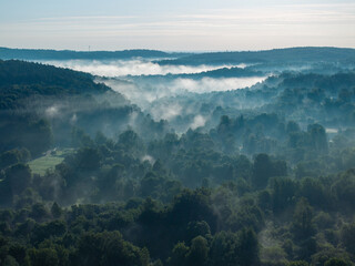 A foggy morning in the woods #3