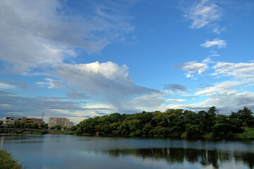 Obraz premium 池の上空に広がる青空に、上層の白い雲と下層のグレーの雲が浮かんでいる風景