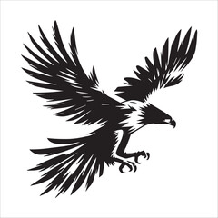 Obraz premium Philippine Eagle Silhouette Clipart - Eagle Bird Vector Illustration in black and white