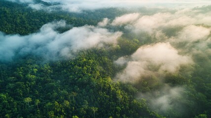 Obraz premium aerial view of rolling cloud at rainforest - ai