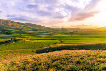 Obraz premium panoramic spring season landscape of beautiful greel field with yellow and salad hills and mountains in countryside