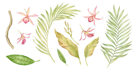 Set of tropical leaves and orchid flowers watercolor illustrations isolated.