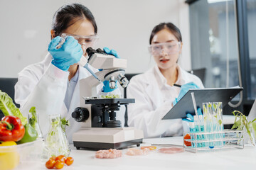 Two female researchers in the lab work at a desk on plant genetic modification for food, meat, and...
