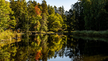Fototapeta premium Swedish river and natural salomon area in autumn