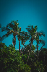 Praia do Jabaquara, Ilha Bela São Paulo Brasil.