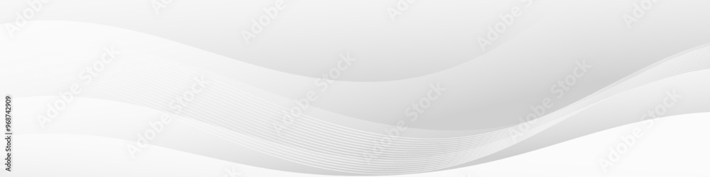 Wall mural Elegant and minimalistic abstract banner with a flowing silver wave design.