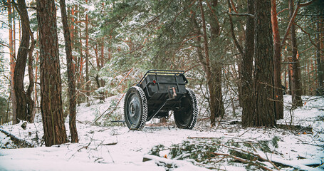 Fototapety na wymiar - Fototapeta24.pl