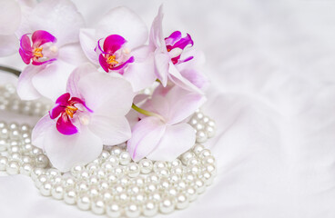 The branch of purple orchids on white fabric background
