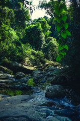 Castelhanos Ilha Bela