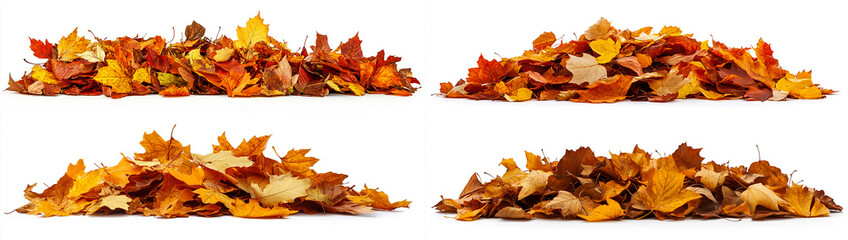 Pile of autumn leaves isolated on a white background with a clipping path