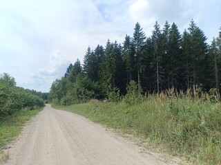 Road in forest in Siauliai county during sunny summer day. Oak and birch tree woodland. Sunny day with white clouds in blue sky. Bushes are growing in woods. Sandy road. Nature. Summer season. Miskas.