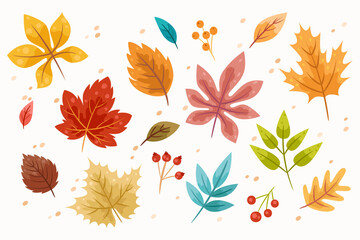 Collection of Autumn Fall Leaves