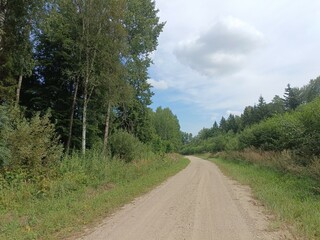 Road in forest in Siauliai county during sunny summer day. Oak and birch tree woodland. Sunny day with white clouds in blue sky. Bushes are growing in woods. Sandy road. Nature. Summer season. Miskas.