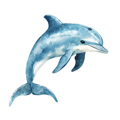 Obraz premium A beautiful watercolor illustration of a dolphin
