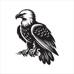 Obraz premium Bald eagle Silhouette Clipart - Eagle Bird Vector Illustration in black and white