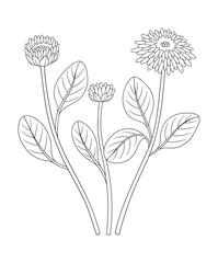 Set of three flowers with leaves. Bouquet of blooming perennial wild plants, wildflowers. Line art, minimal style, contour. Botanical hand-drawn elements for design projects. Vector illustration