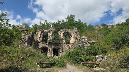 Fototapeta premium ruins in the forest