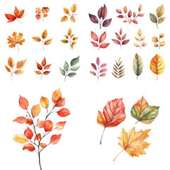 Fototapeta premium Autumn Leaf Collection in Watercolor Isolated on Transparent Background, Perfect for Fall Decor and Seasonal Artwork