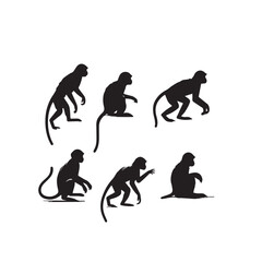 Obraz premium Monkey silhouette. Monkey vector design black and white. Monkey logo, icon.