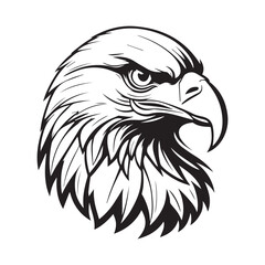 Eagle head illustration, Isolated on black background.