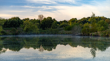 The majestic trees are beautifully reflected in the calm water of a lake