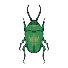 Stag Beetle Drawing, Green Beetle, Kumbang Tanduk, Green Beetle Vector Drawing