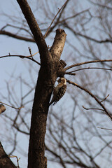 생존 본능