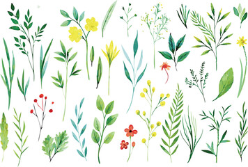 Wild flowers set, watercolor digital illustration. Perfectly for poster, card design. Mother's Day, Birthday, Valentine's day decoration.