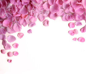 Natural background of rose petals