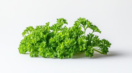 Obraz premium A fresh bunch of green parsley on a plain background, ideal for culinary use.