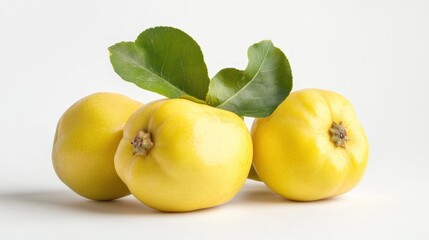 Three yellow quinces with green leaves on a light background.