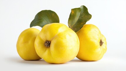 Three yellow quinces with green leaves on a white background.