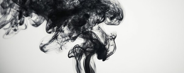 Fototapeta premium Black smoke wisps against white background