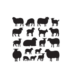 Fototapeta premium Sheep silhouette. Sheep logo, icon. Sheep vector design isolated on white. background.
