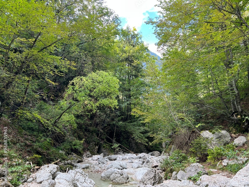 Wall mural Fratarica canyon or Canyon and Fratarica stream, Log pod Mangartom (Triglav National Park, Slovenia) - Die Schlucht des Baches Fratarica (Nationalpark Triglav, Slowenien)