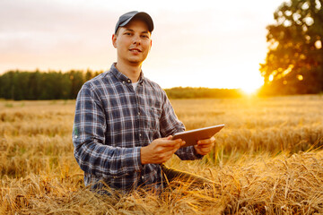 A young farmer using a tablet at sunset in a wheat field, embracing modern agriculture techniques...