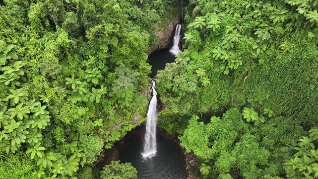 Hidden waterfalls in jungle, Fiji. Aerial view of pristine nature, Tavoro Waterfalls, Taveuni Island.