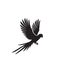 Obraz premium Parrot silhouette. Parrot vector design. Parrot logo, icon black and white.