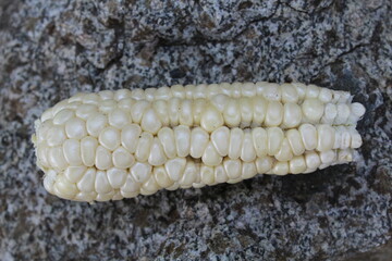 Maize corn, Corn or Corncob 