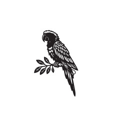 Fototapeta premium Parrot silhouette. Parrot vector design. Parrot logo, icon black and white.