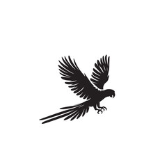 Parrot silhouette. Parrot vector design. Parrot logo, icon black and white.