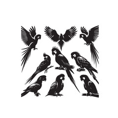 Obraz premium Parrot silhouette. Parrot vector design. Parrot logo, icon black and white.
