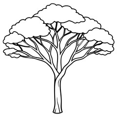 african mahogany tree outline coloring book page line art drawing